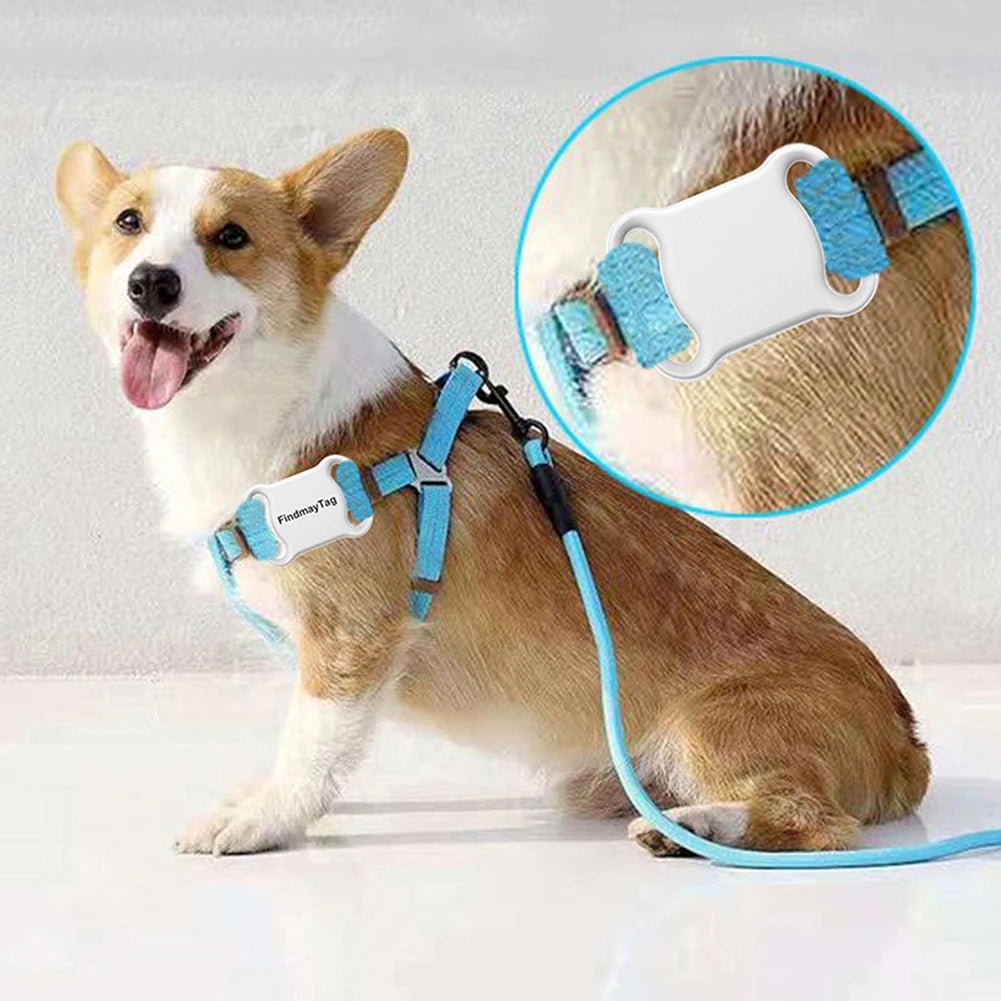 GPS Tracker for Dogs and Cats Smart Activity Tracker Waterproof Bluetooth - Best Buddy Store
