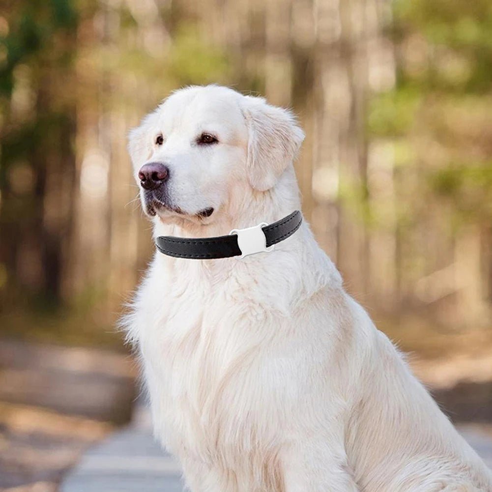 GPS Tracker for Dogs and Cats Smart Activity Tracker Waterproof Bluetooth - Best Buddy Store