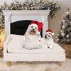 Luxury Elevated Dog Sofa Bed with Backrest Plush Cushion - Best Buddy Store