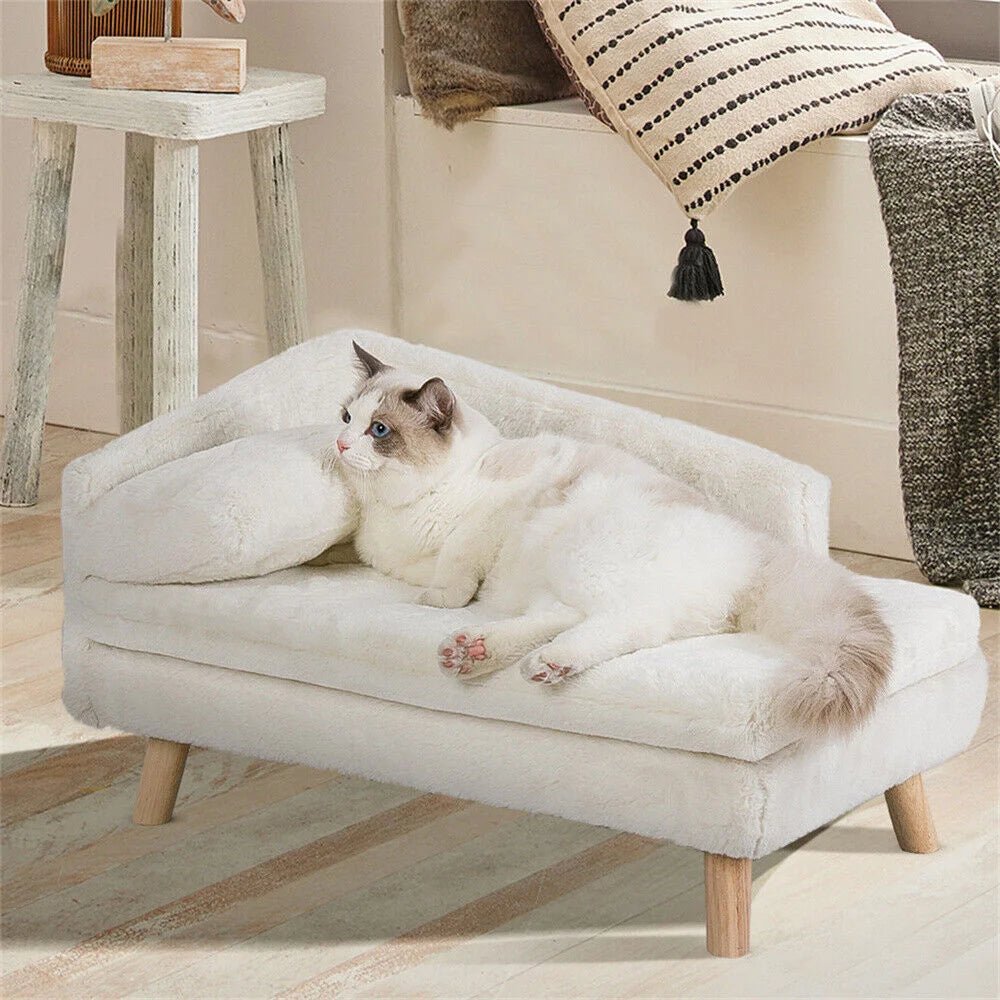 Luxury Elevated Dog Sofa Bed with Backrest Plush Cushion - Best Buddy Store