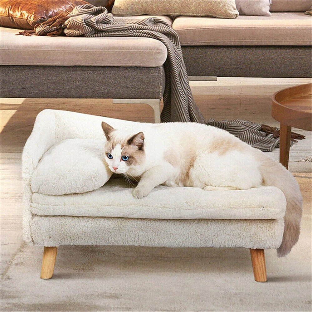 Luxury Elevated Dog Sofa Bed with Backrest Plush Cushion - Best Buddy Store