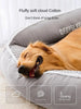 Pet Warm Bed – Warm Bedding for All Sizes - Best Buddy Store