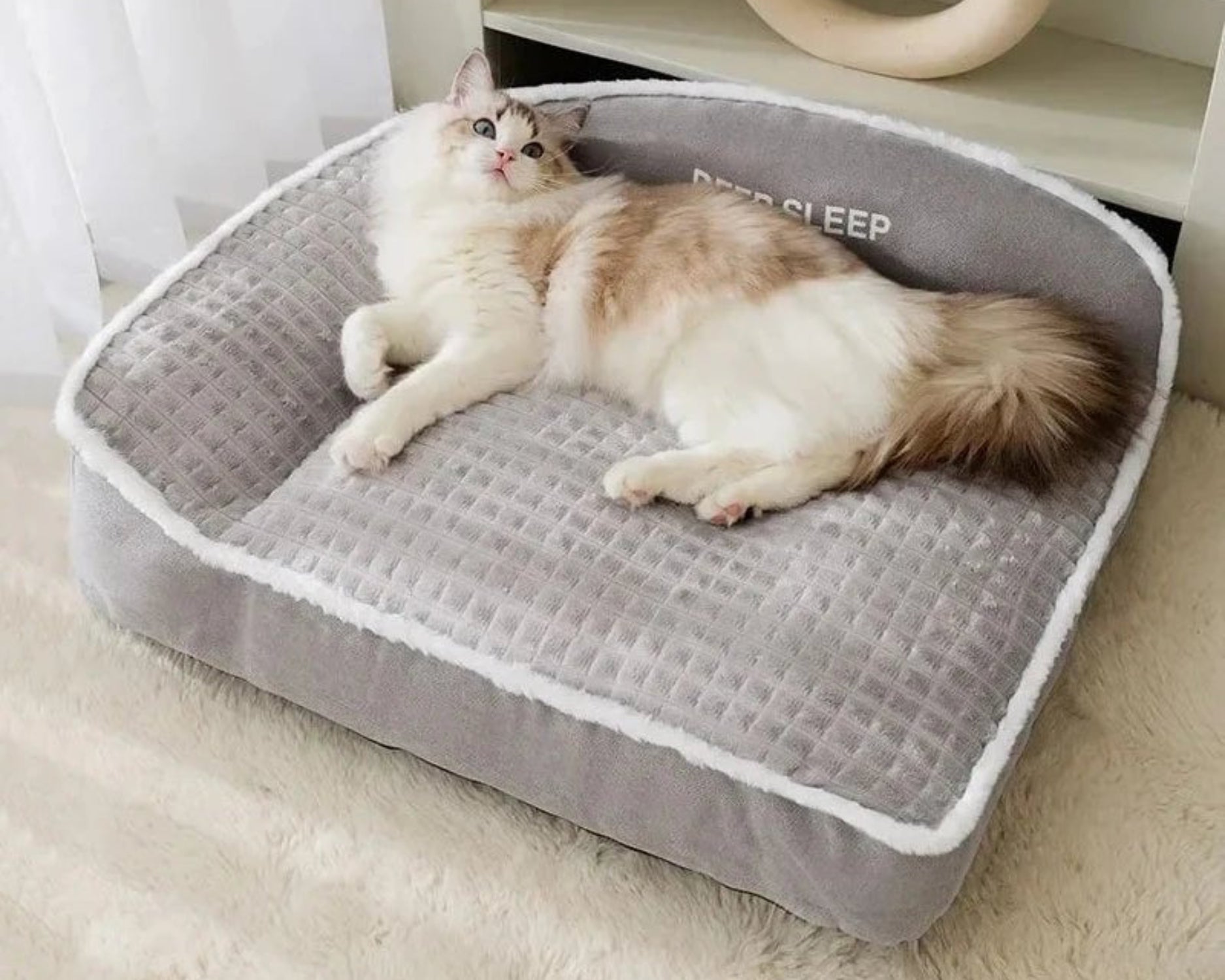 Pet Warm Bed – Warm Bedding for All Sizes - Best Buddy Store