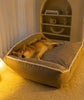 Pet Warm Bed – Warm Bedding for All Sizes - Best Buddy Store
