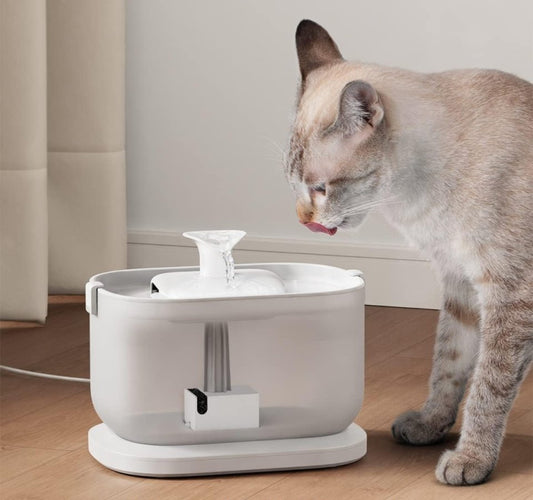 Pet Water Fountain with Self Cleaning Low Noise Design - 84Oz/2.5L - Best Buddy Store