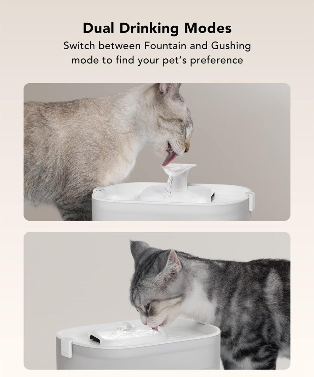 Pet Water Fountain with Self Cleaning Low Noise Design - 84Oz/2.5L - Best Buddy Store