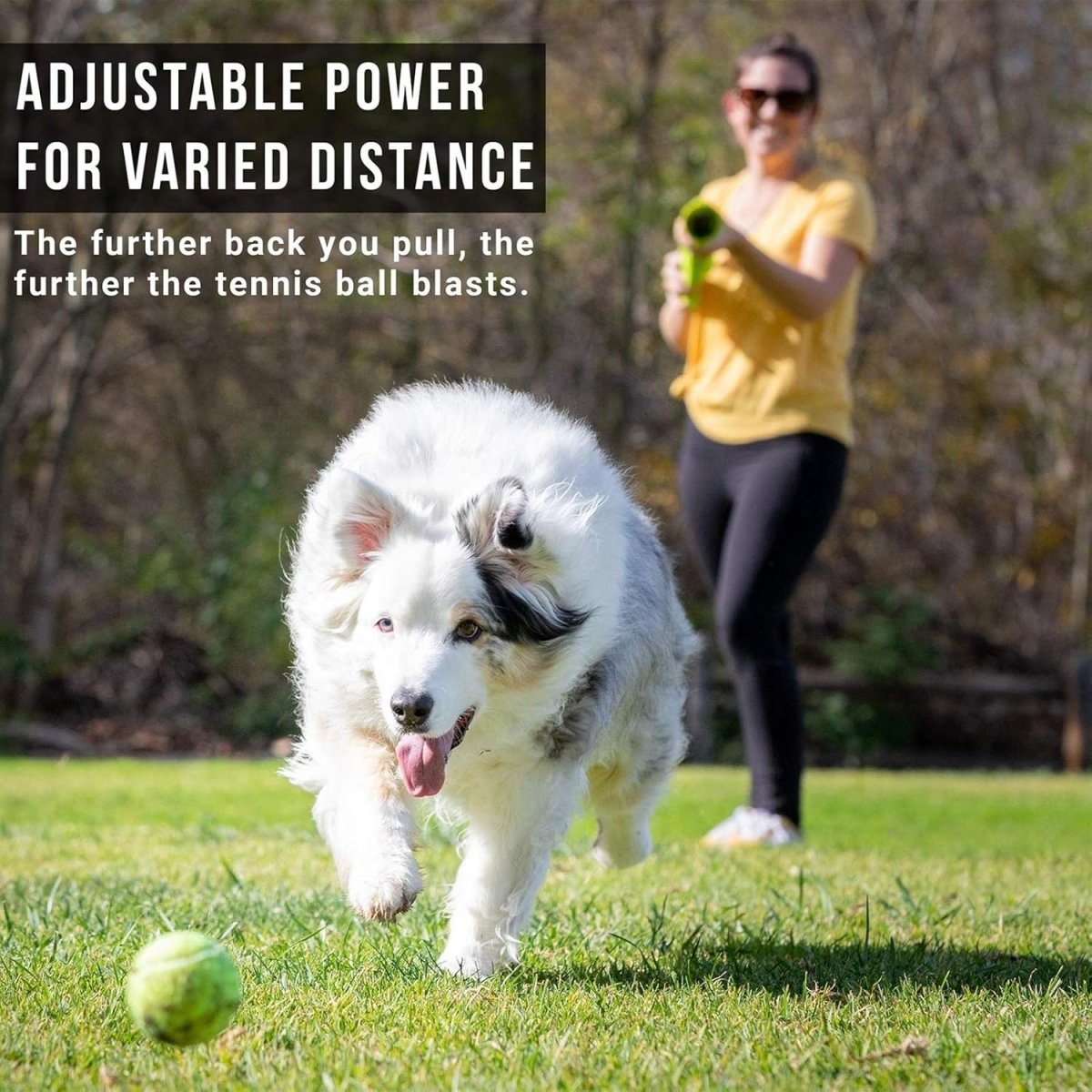 Portable Dog Interactive Ball Thrower\Shooter - Best Buddy Store