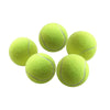 Portable Dog Interactive Ball Thrower\Shooter - Best Buddy Store