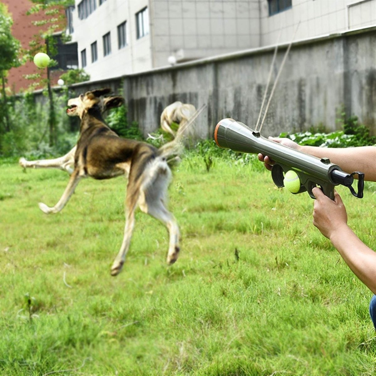 Portable Dog Interactive Ball Thrower\Shooter - Best Buddy Store