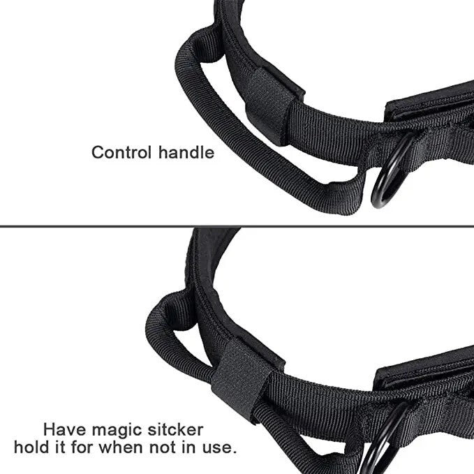 Tactical Dog Collar & Leash Set — Heavy-Duty Nylon, Metal Buckle, Water-Resistant, 4 Colors