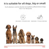 Smart Automatic Anti Barking Dog Collar Waterproof Rechargeable Collar - Best Buddy Store
