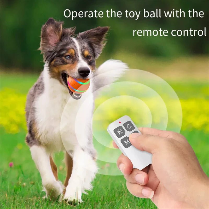 Smart Interactive Dog Ball – Flashing, Rotating, Waterproof Chew Toy - Best Buddy Store