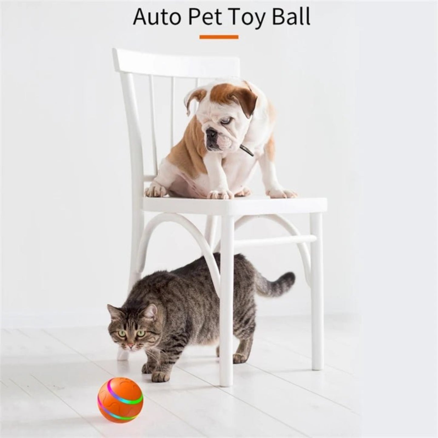 Smart Interactive Dog Ball – Flashing, Rotating, Waterproof Chew Toy - Best Buddy Store