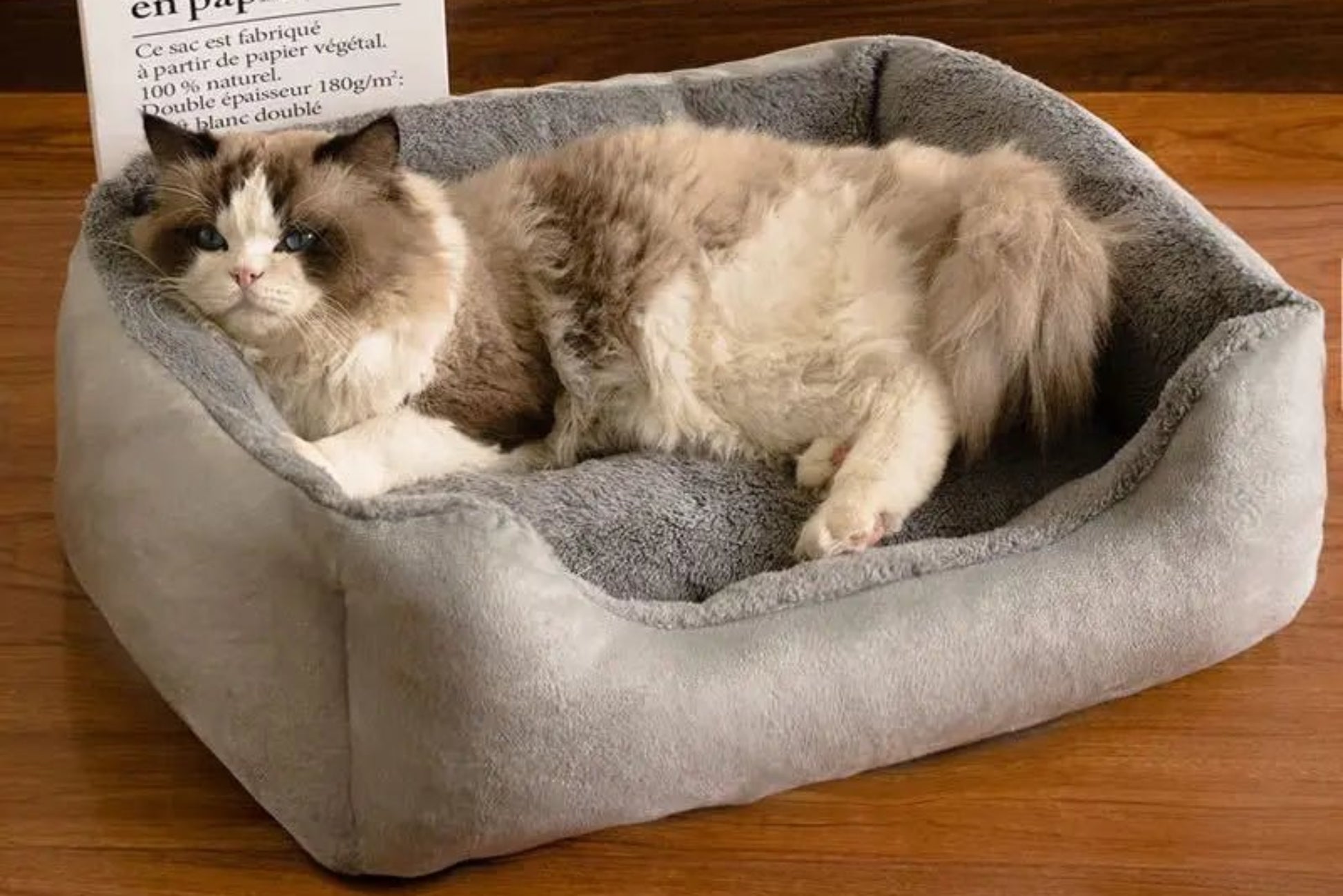 Square Plush Soft Cat Sofa Bed - Best Buddy Store