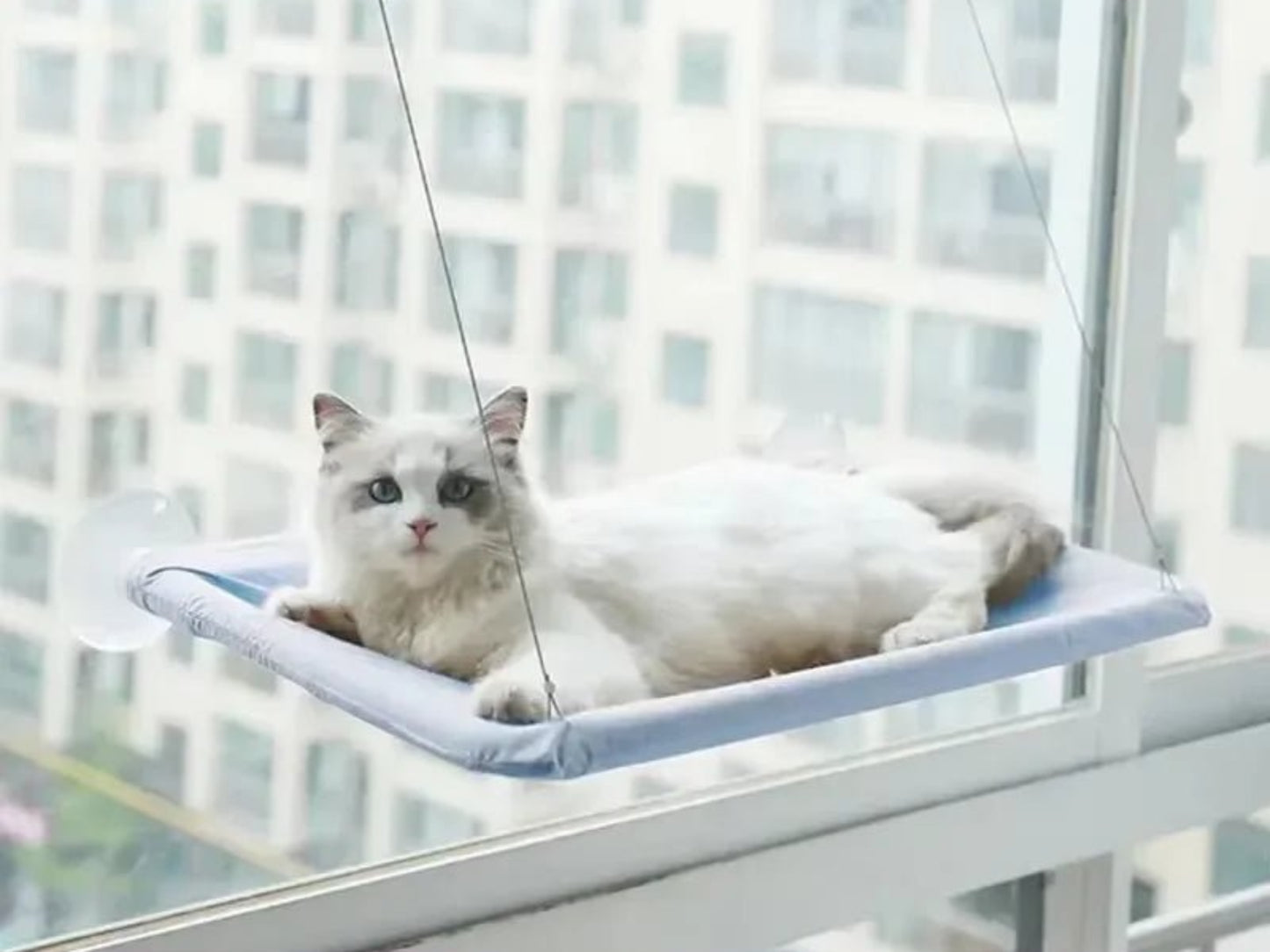 Ultra - Soft Cat Window Hammock - Best Buddy Store