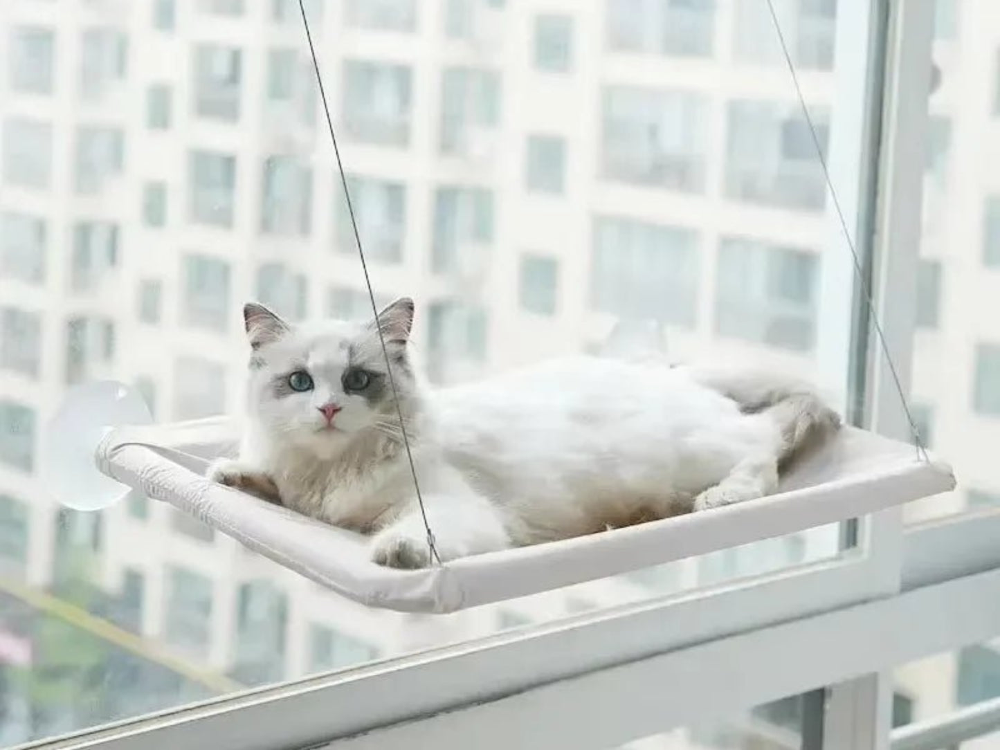 Ultra - Soft Cat Window Hammock - Best Buddy Store