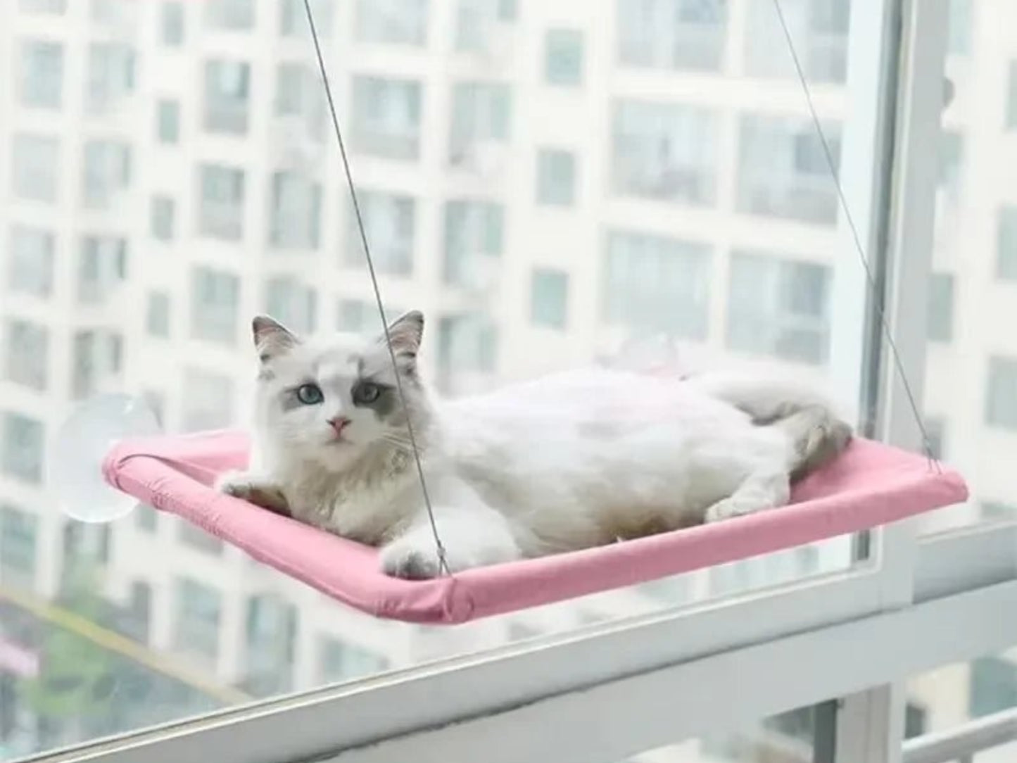 Ultra - Soft Cat Window Hammock - Best Buddy Store