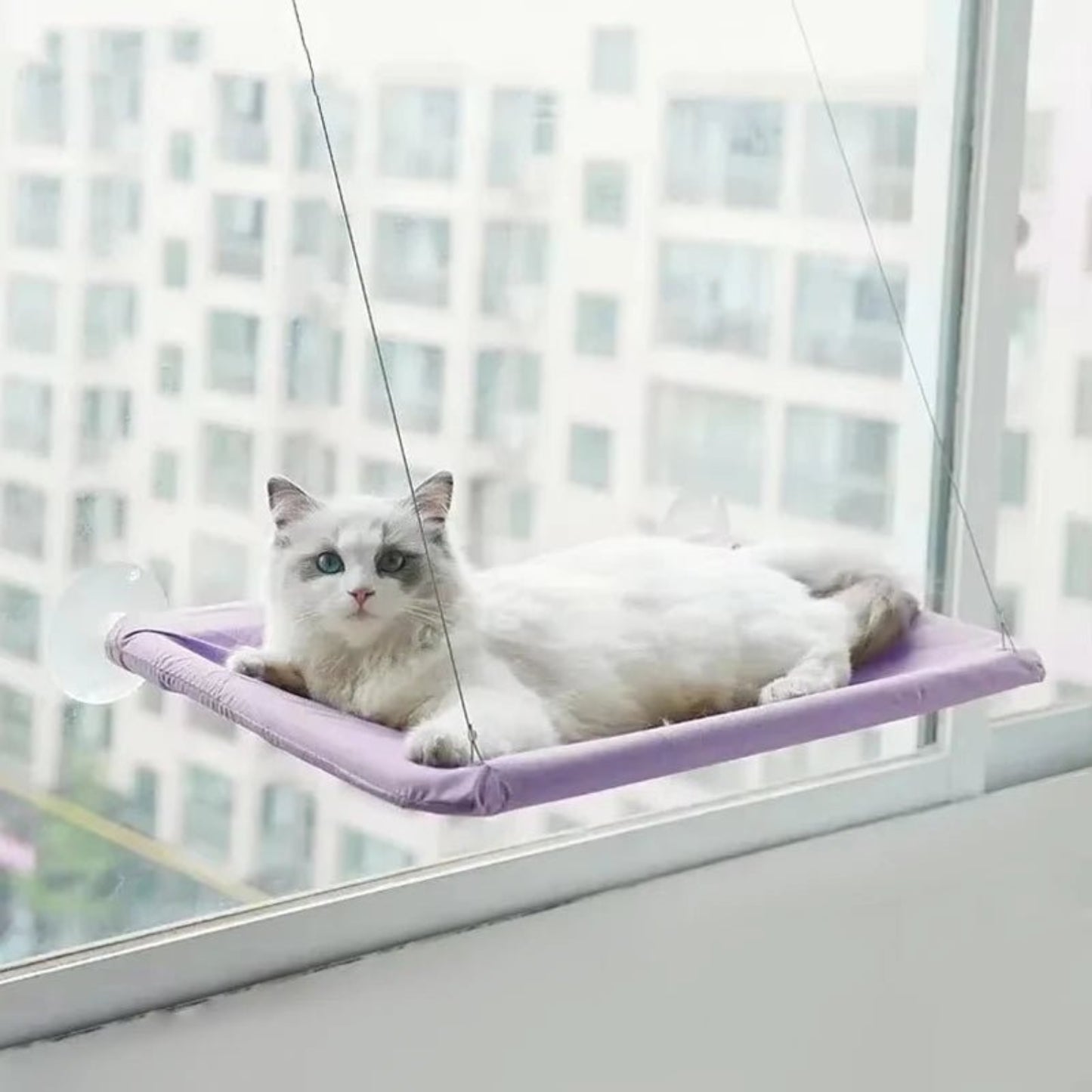 Ultra - Soft Cat Window Hammock - Best Buddy Store