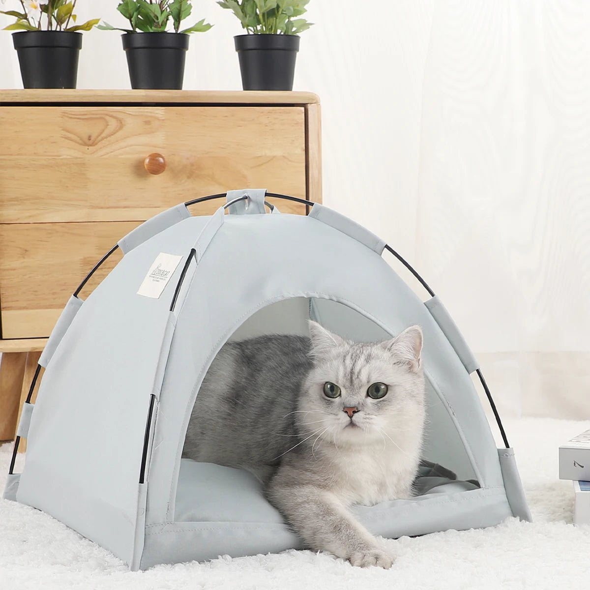 Warm Pet Tent Bed for Cats - Best Buddy Store