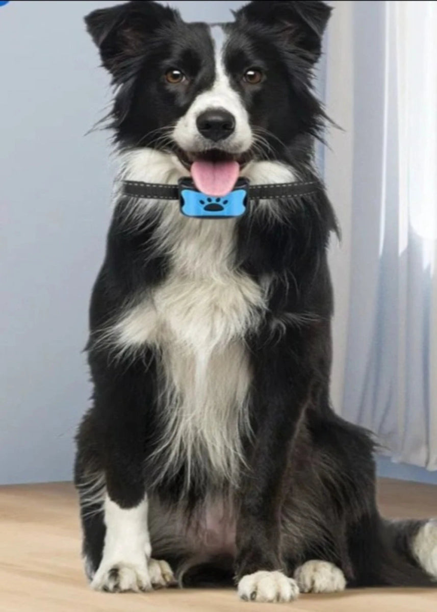 Waterproof Ultrasonic Vibration Anti Barking Automatic Dog Training Collar - Best Buddy Store