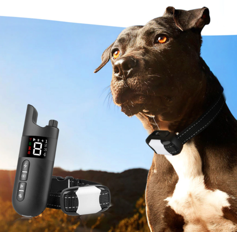 Electric Waterproof Dog Training Collar With Shock Function 800m - BestBuddyStore