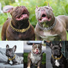 18K Gold Dog Chain Collar Cuban Link Heavy Duty Super Strong Chew Proof - Best Buddy Store