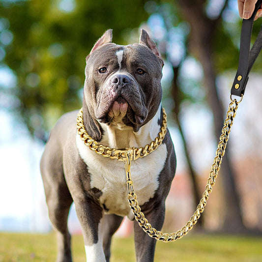 18K Gold Dog Chain Collar Cuban Link Heavy Duty Super Strong Chew Proof - Best Buddy Store