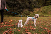 2 Dog Retractable Leash 14 or 18 ft Distance with Coupler - Best Buddy Store