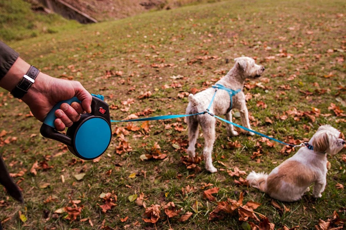 2 Dog Retractable Leash 14 or 18 ft Distance with Coupler - Best Buddy Store