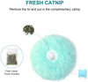 3 Pack Fluffy Interactive  Cat Ball Toys Chirping Balls | Best Buddy