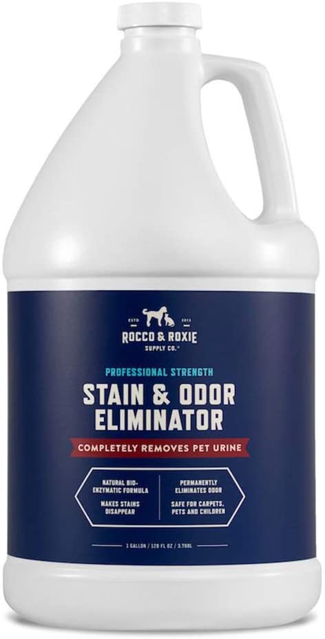 Professional Strength Stain & Odor Eliminator - Pet Odor & Stain Remover for Dog and Cats Urine - Carpet Cleaner Spray - BestBuddyStore