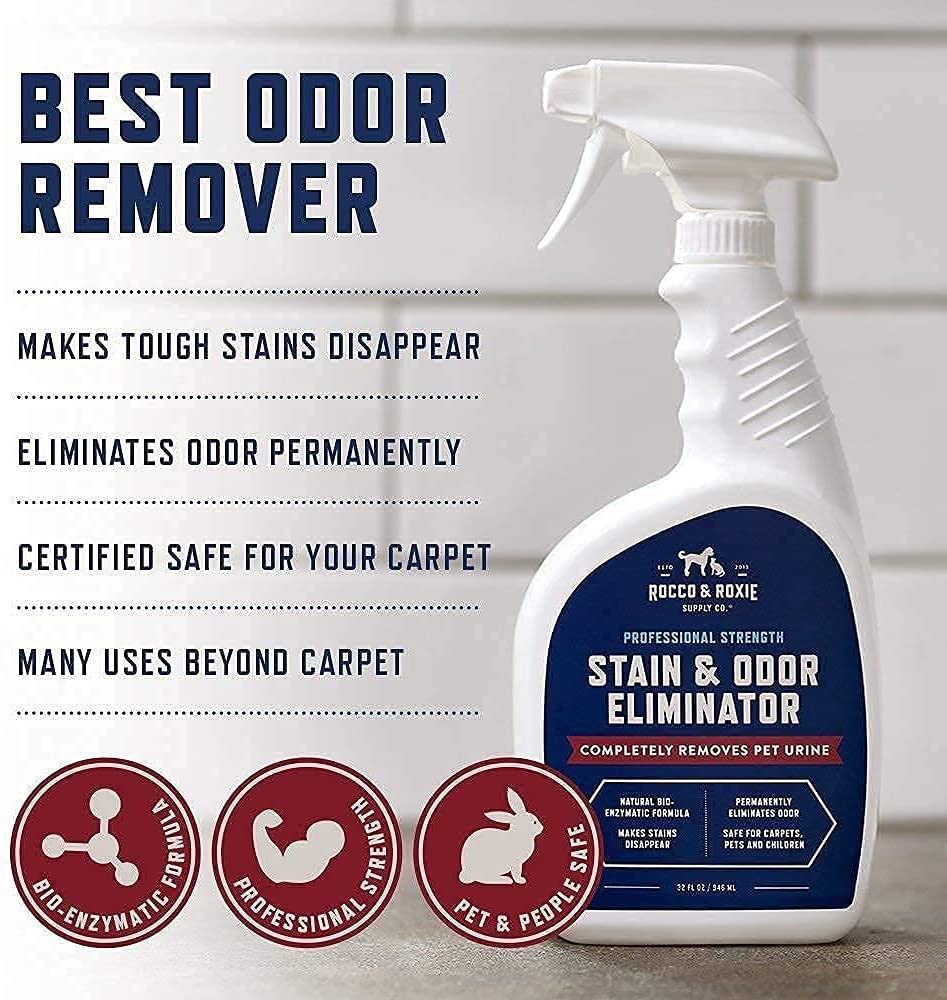 Professional Strength Stain & Odor Eliminator - Pet Odor & Stain Remover for Dog and Cats Urine - Carpet Cleaner Spray - BestBuddyStore