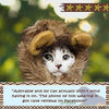 Lion Mane Costume for Cat - BestBuddyStore