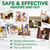 Cargar imagen en el visor de la galería, Flea Treatment for Dogs and Home | Flea Killer with Certified Natural Oils - BestBuddyStore