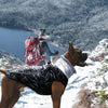 Cargar imagen en el visor de la galería, Furry Collar Dog Cold Weather Coat - BestBuddyStore