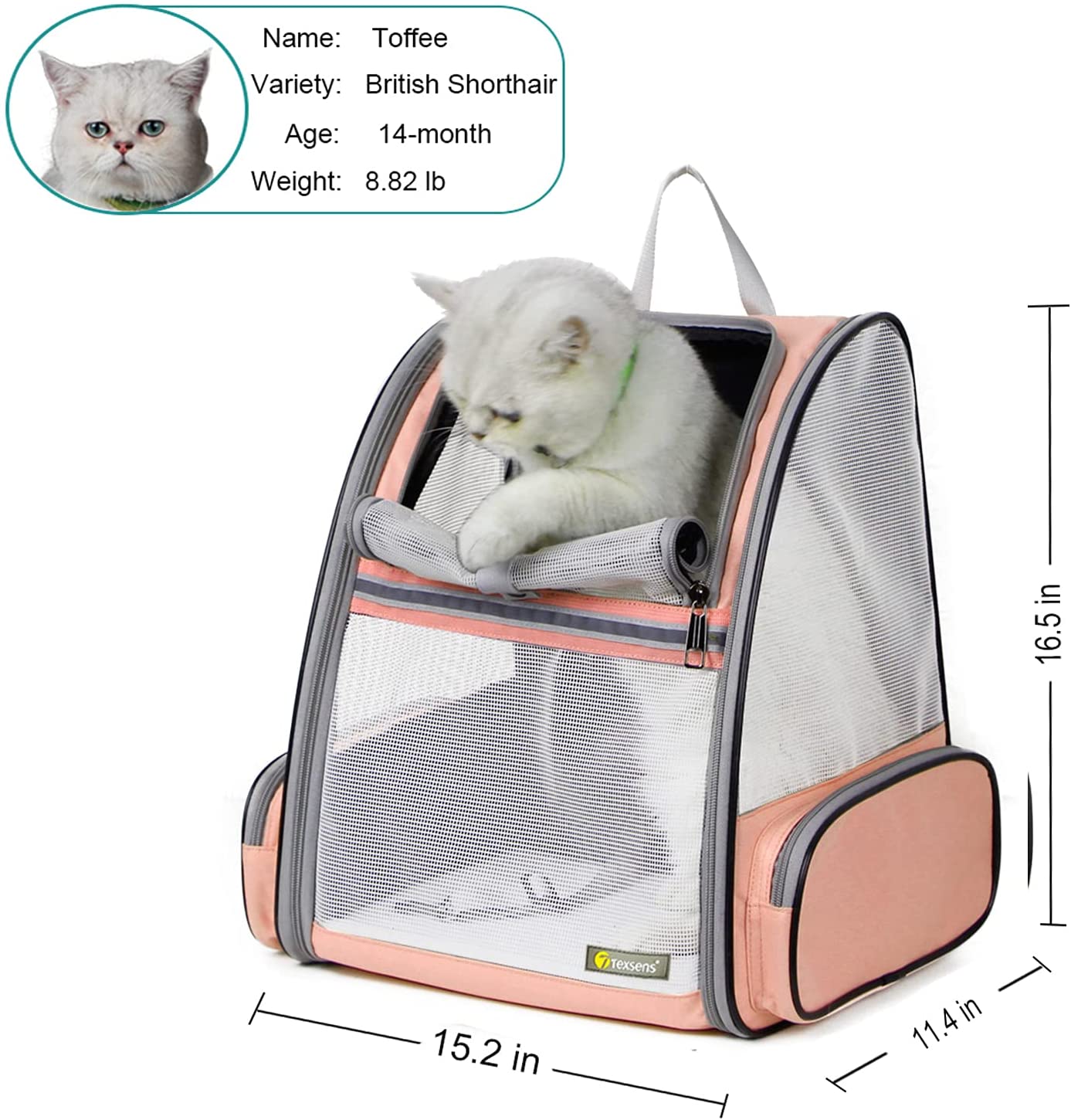 Pet Backpack Carrier for Small Cats Dogs - BestBuddyStore