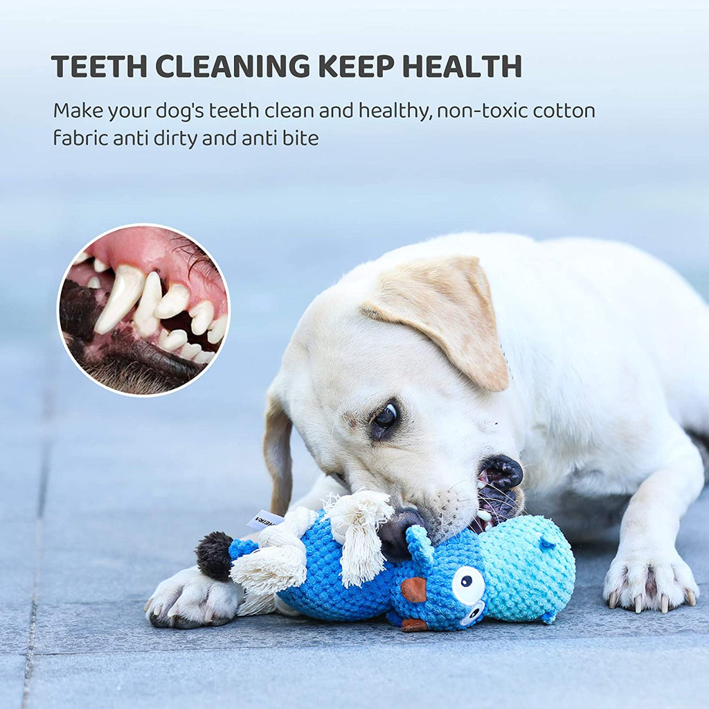 Crochet Dog Bone (Blue): Organic Dog Toy, Dog Teeth Cleaning