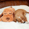 Snuggle Puppy - Behavioral Aid Toy - BestBuddyStore