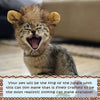 Lion Mane Costume for Cat - BestBuddyStore