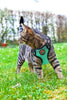 Kitten Adjustable  Harness and Leash for Cat Walking Jacket - BestBuddyStore