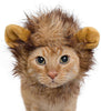 Lion Mane Costume for Cat - BestBuddyStore