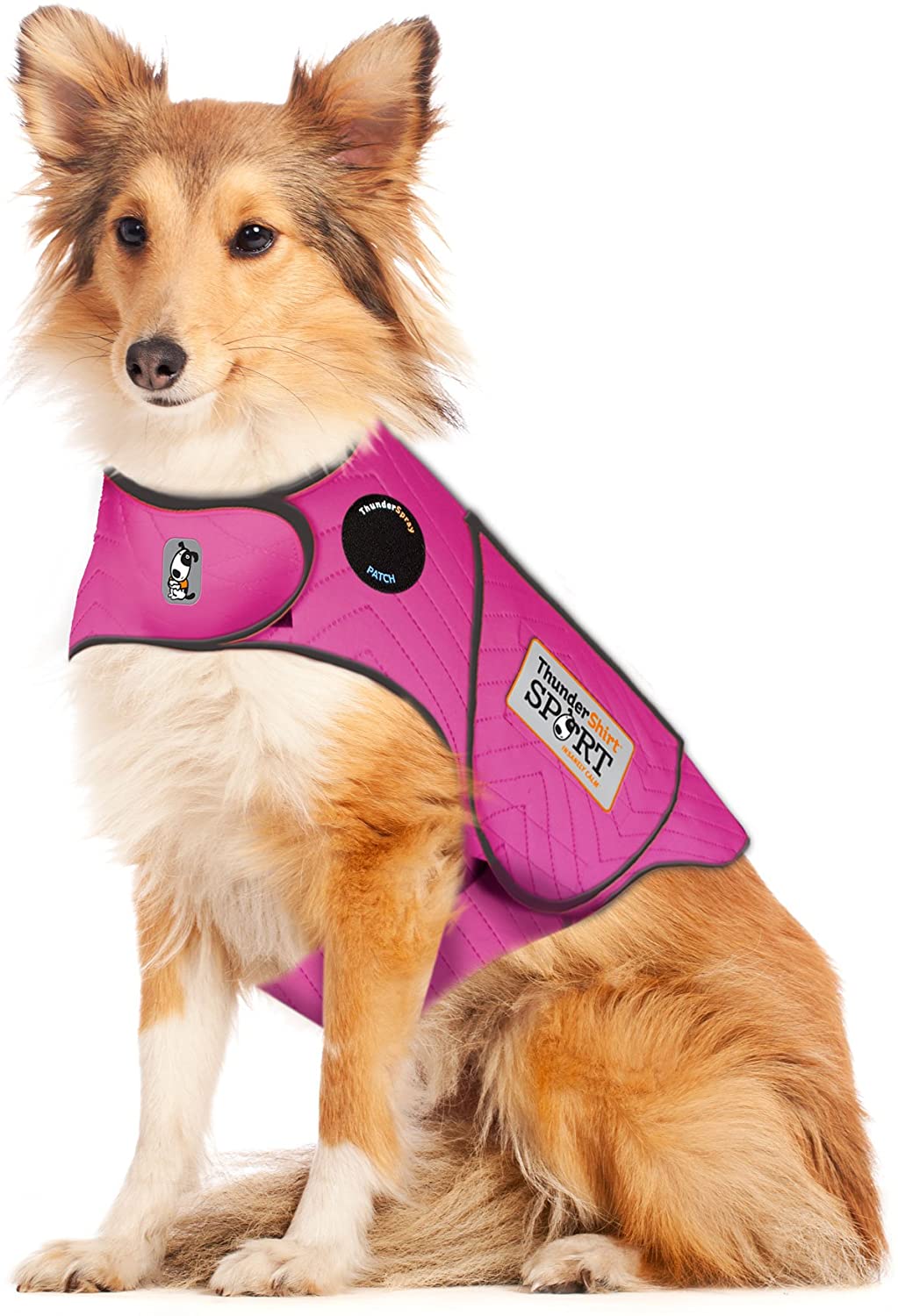 Dog Anxiety Sport  Vest Shirt - BestBuddyStore