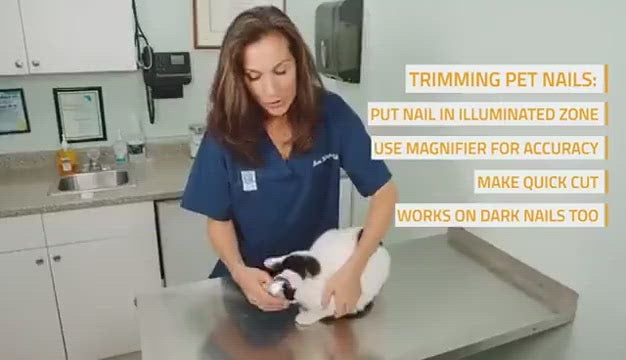 Professional Pet Nail Clipper Scissors