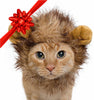 Lion Mane Costume for Cat - BestBuddyStore