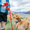 Automatic Retractable Durable Dog Leash With Water Bottle Bowl - Best Buddy Store