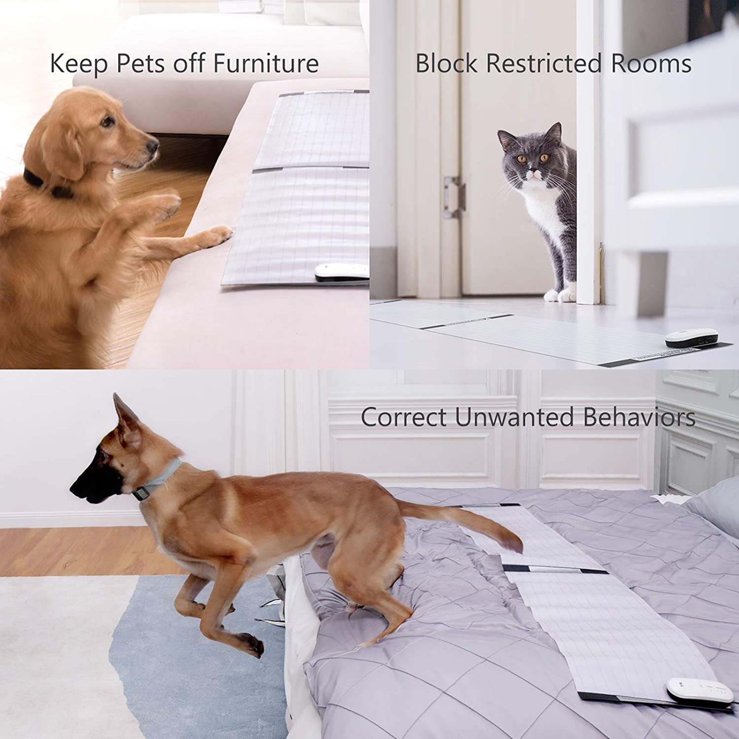 BestBuddy Smart LED Pet Training Mat | Safe & Effective Shock