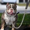 Dog Chain Collar And Leash Super Strong - BestBuddyStore