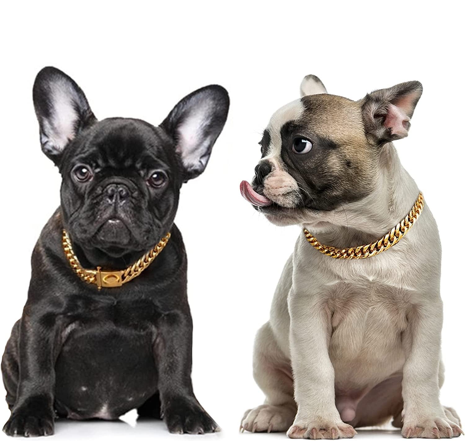 Dog Chain Collar And Leash Super Strong | Best Buddy Store