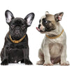 Dog Chain Collar And Leash Super Strong | Best Buddy Store