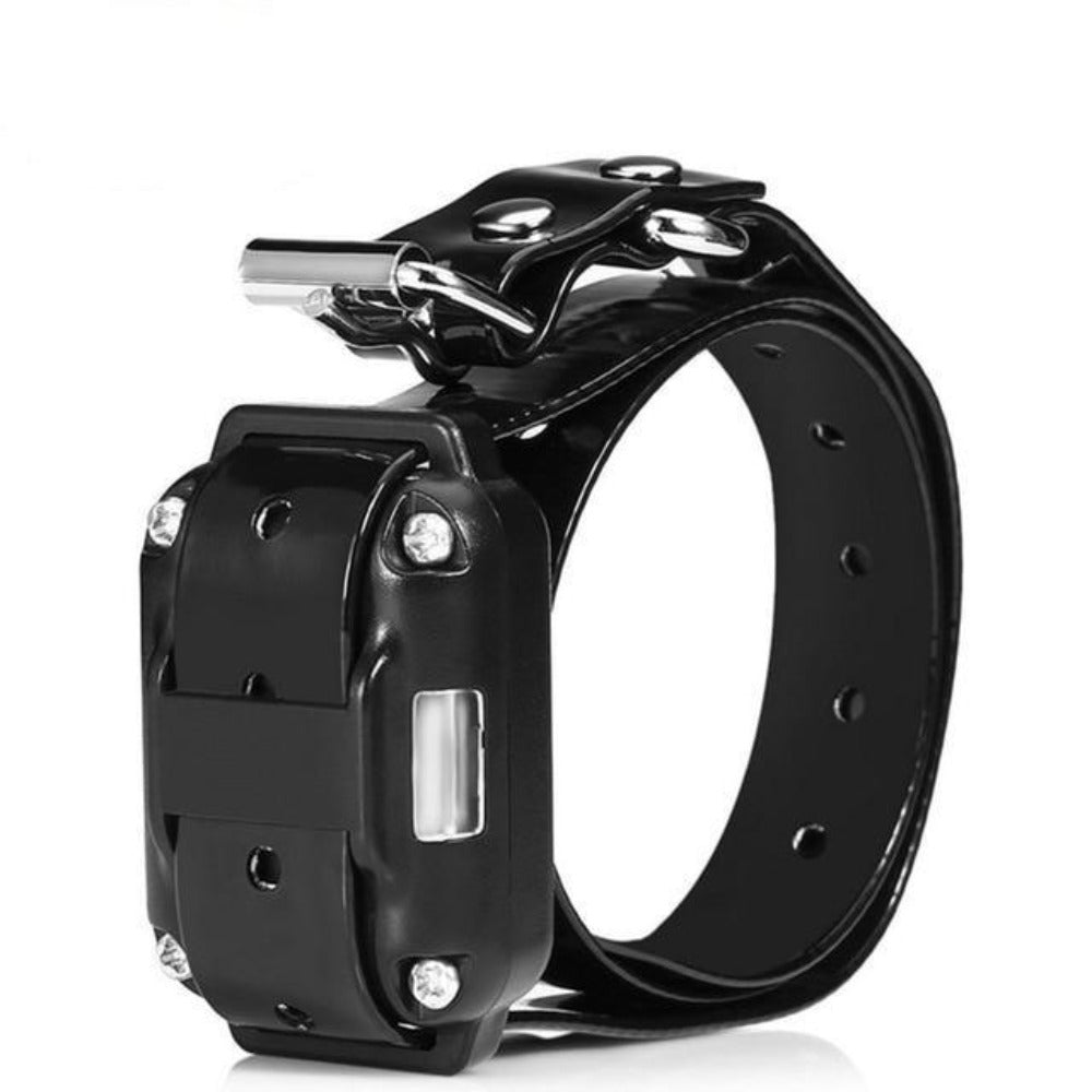 Electric Dog Training Collar Waterproof Rechargeable Remote Control - BestBuddyStore